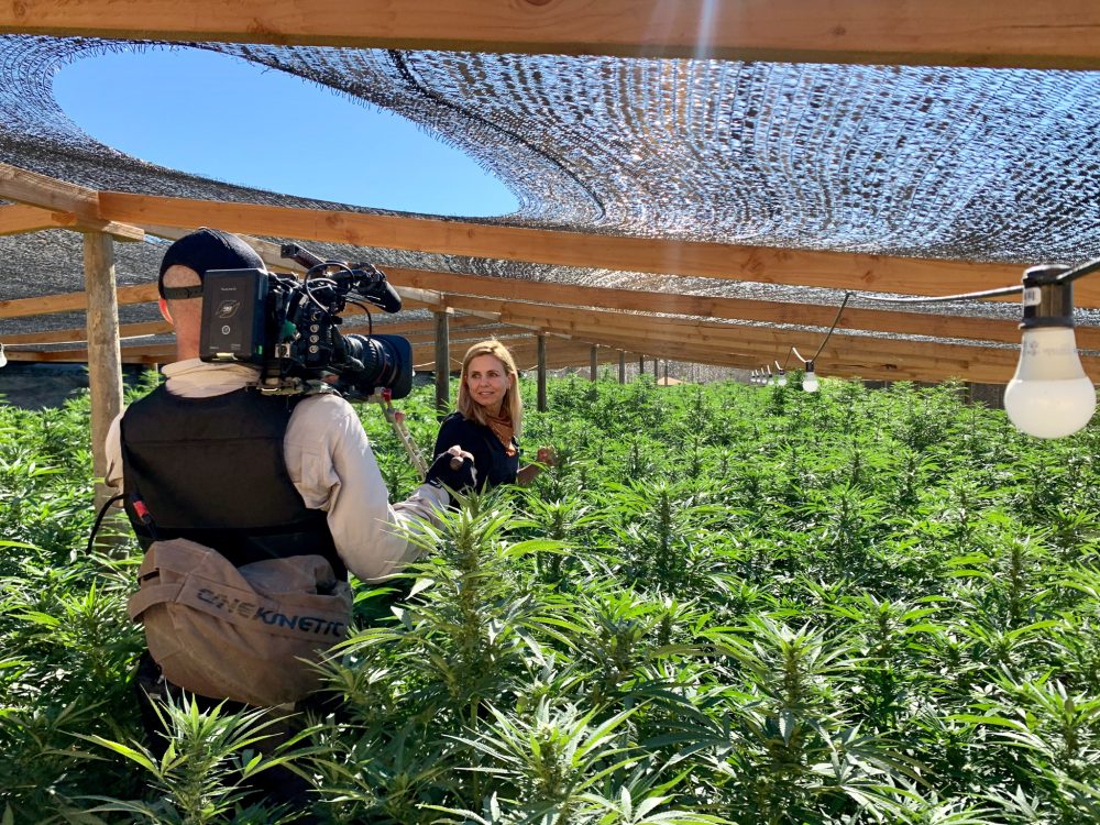Doživite put oko sveta iz fotelje, uz najbolje dokumentarce i emisije na kanalu National Geographic BlackMarketMarijuana Trafficked 3228B e1656338396691 Doživite put oko sveta iz fotelje, uz najbolje dokumentarce i emisije na kanalu National Geographic