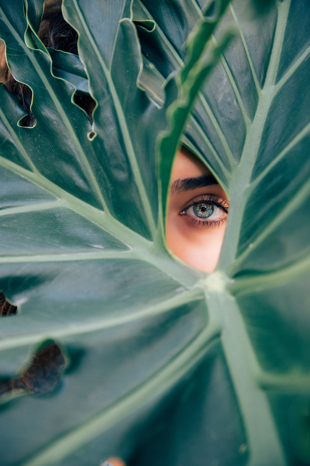 drew dizzy graham cTKGZJTMJQU unsplash1 Zbog čega je linolenska kiselina važna za kožu?