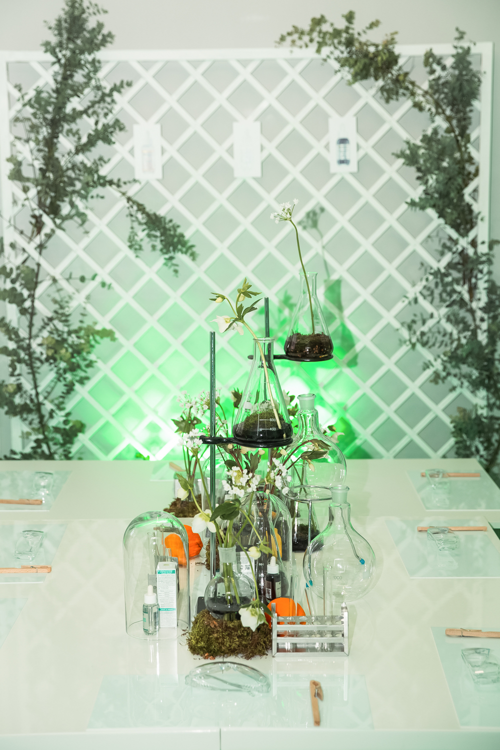 IMG 9377 77 76 GARNIER x WANNABE: Ovako je izgledao ekskluzivni beauty event koji je predstavio green beauty inicijative i okupio influensere iz celog regiona