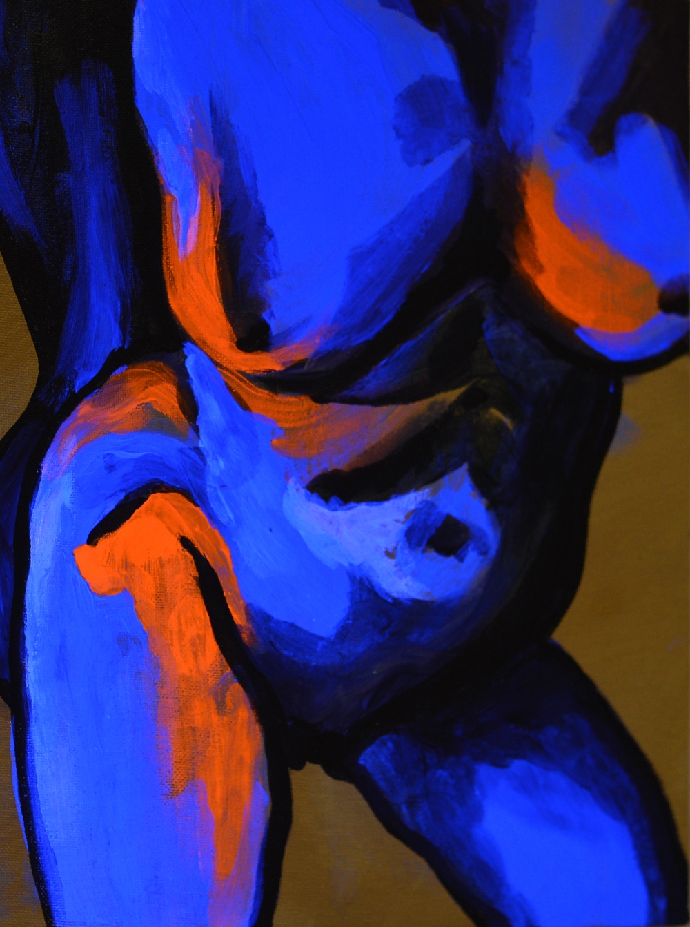 Jovana Jarebica Fluo art 5 Jovana Jarebica, master primenjenog slikarstva i fotograf: „Kroz svoj rad bih volela da podstaknem na razmišljanje i aktivaciju“
