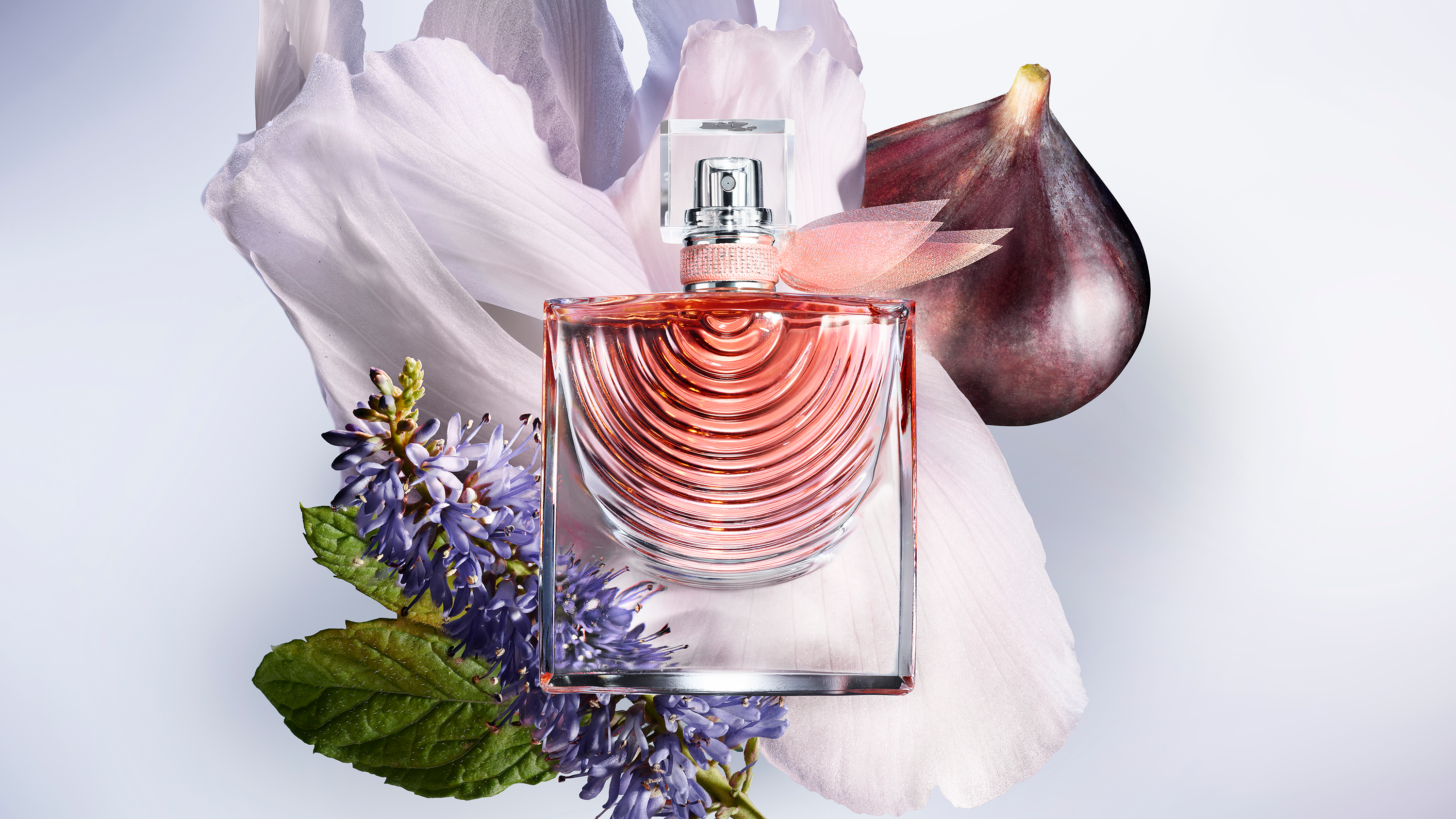 lan fraw iris absolu launch 23 ingredientspack nm 16 9 2 Ženska prijateljstva su ključna za sreću, a evo zašto je važno da ih negujete