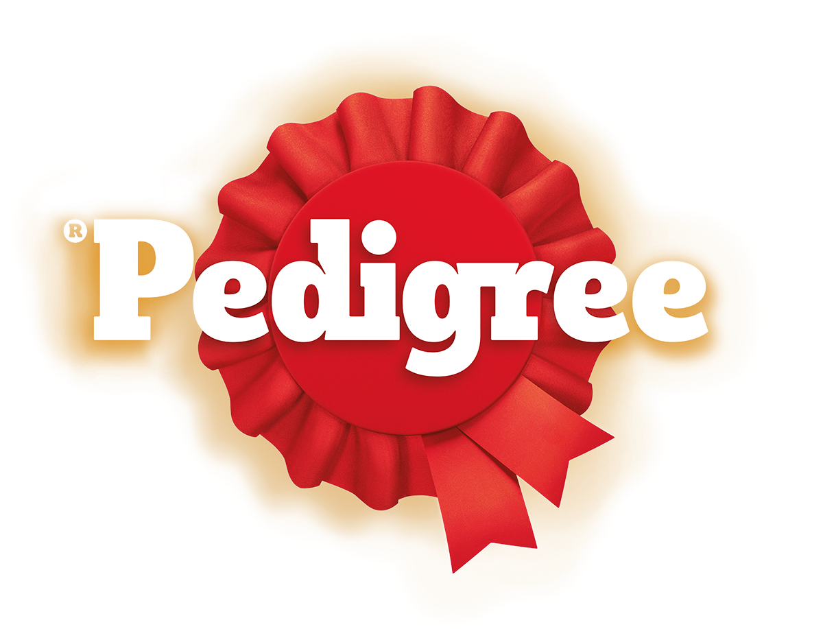 Šta smo sve naučili u Pedigree avanturi sa Sarom i Slavenom: Kako da usrećimo naše pse i bolje brinemo o njihovom zdravlju baš svakog dana Logo Šta smo sve naučili u Pedigree avanturi sa Sarom i Slavenom: Kako da usrećimo naše pse i bolje brinemo o njihovom zdravlju baš svakog dana