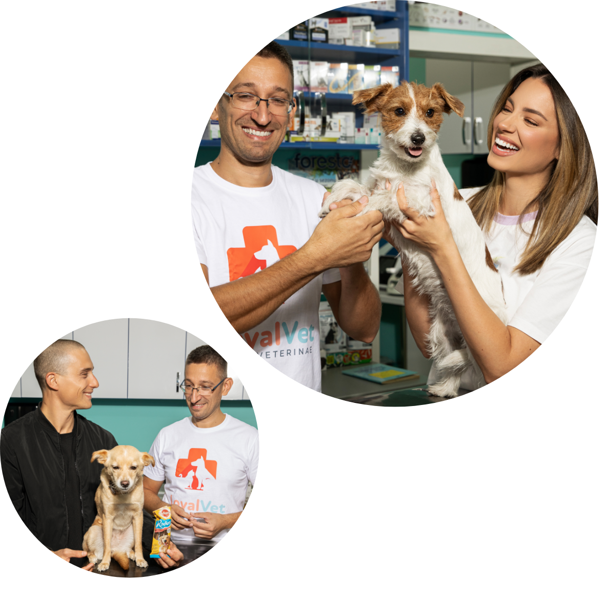 Sara i Slaven su poveli Noru i Ljubicu kod veterinara i saznali kako Pedigree poslastice brinu o zdravlju njihovih ljubimaca Group 180 Sara i Slaven su poveli Noru i Ljubicu kod veterinara i saznali kako Pedigree poslastice brinu o zdravlju njihovih ljubimaca