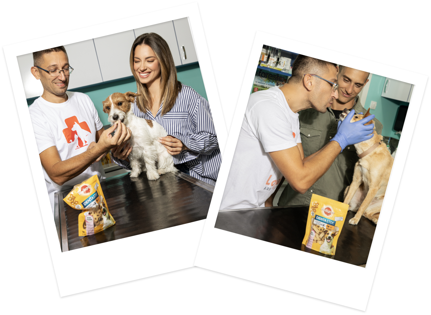 Savet veterinara: Sara i Slaven su otkrili kako Pedigree Dentastix štapići brinu o zubima njihovih ljubimaca ovo svako treba da zna! Group 134 Savet veterinara: Sara i Slaven su otkrili kako Pedigree Dentastix štapići brinu o zubima njihovih ljubimaca ovo svako treba da zna!