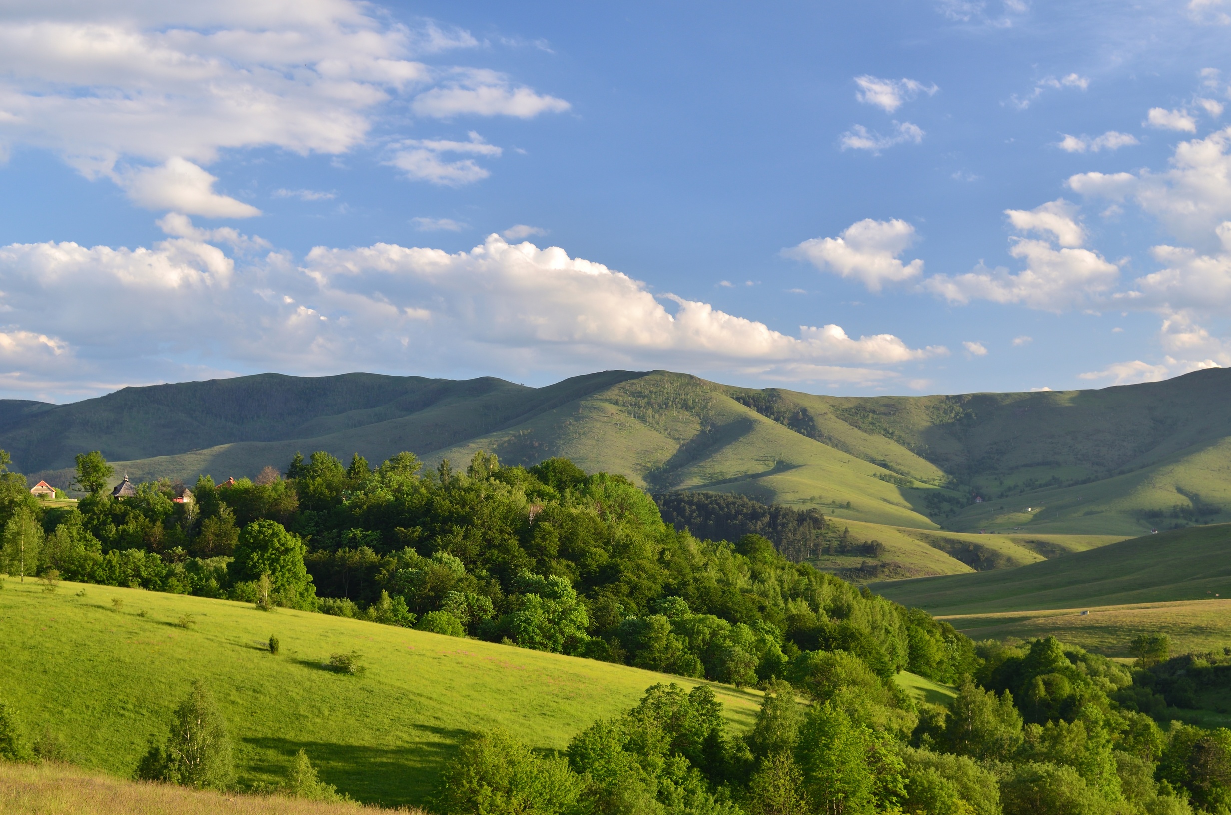 Otkrivamo: Ko je čovek koji ima možda i najbolji posao u Srbiji? Zlatibor Experience 1 Otkrivamo: Ko je čovek koji ima možda i najbolji posao u Srbiji?