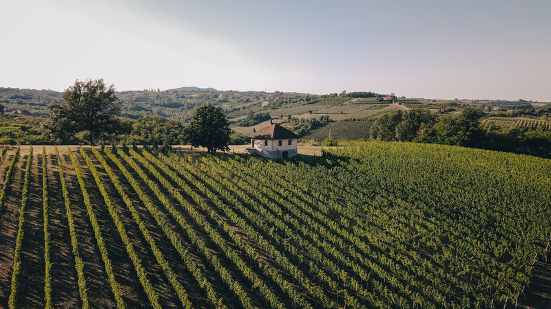 Otkrijte lepote Šumadije kroz čašu vina iz Vinarije Plavi Perun DJI 0036 Otkrijte lepote Šumadije kroz čašu vina iz Vinarije Plavi Perun