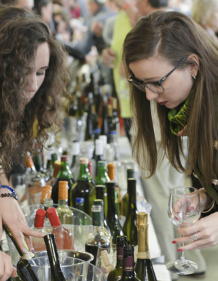 Deseti Wine Style salon vina