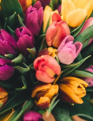Mesečni horoskop za maj 2018: Vaga