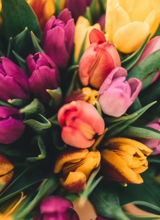Mesečni horoskop za maj 2018: Vaga