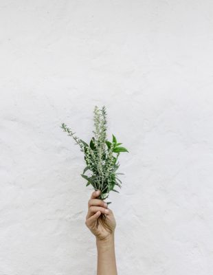 Horoskop za oktobar 2018: Devica