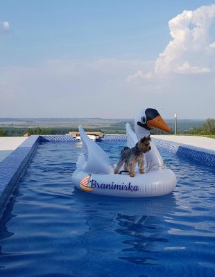 Đoletove avanture: Šta je potrebno za dobar odmor?
