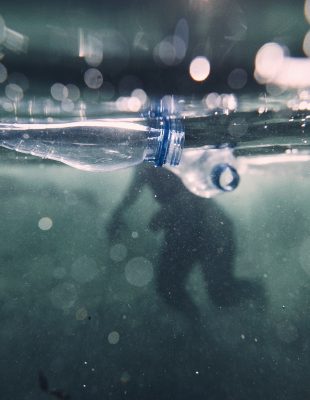 DO 2050. GODINE U MORIMA I OKEANIMA BIĆE VIŠE PLASTIKE NEGO RIBA: Evo kako da pomognete u rešavanju ovog problema