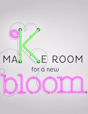 MAKE ROOM FOR A NEW BLOOM: Program edukacije i mentorstva za startape na festivalu KAKTUS 2019!