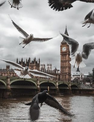 Jesen u Londonu: 7 MUST DO stavki za jedinstveno iskustvo