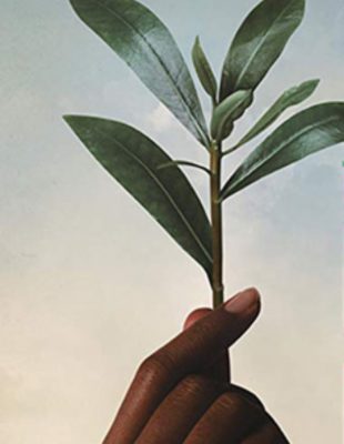 DESETI GREEN FEST: Budućnost je na zemlji!