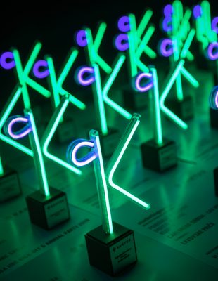 Dodeljene nagrade #kaktus2019!