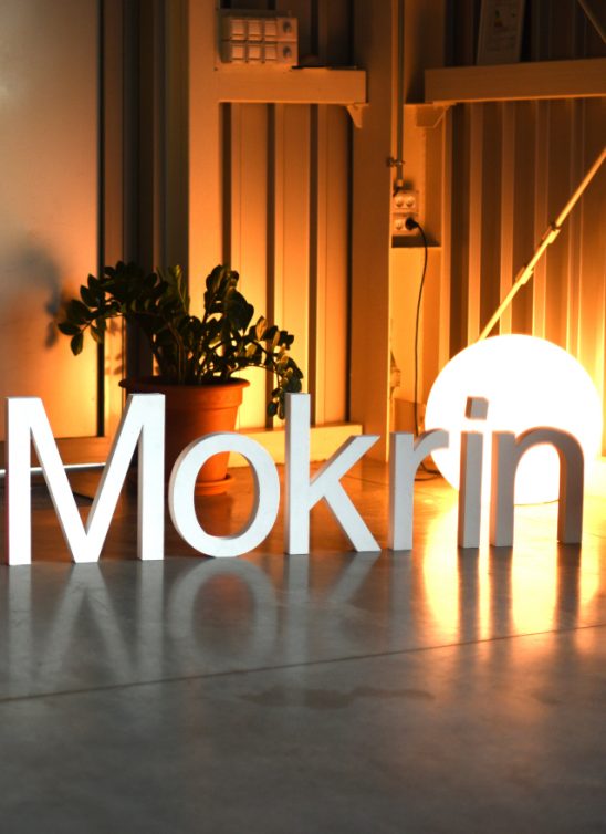 Treći TEDxMokrin o neočekivanim temama održivog razvoja
