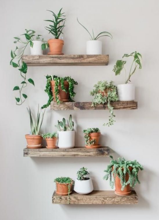 #interiorinspo: Osvežite prostor unošenjem biljaka