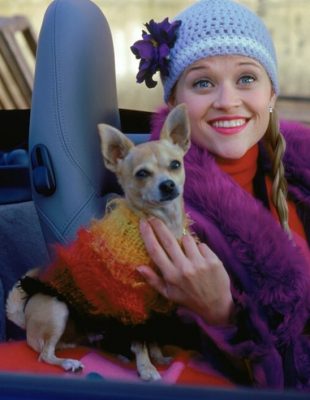 Evo šta sve možemo da očekujemo od filma “Legally Blonde 3”
