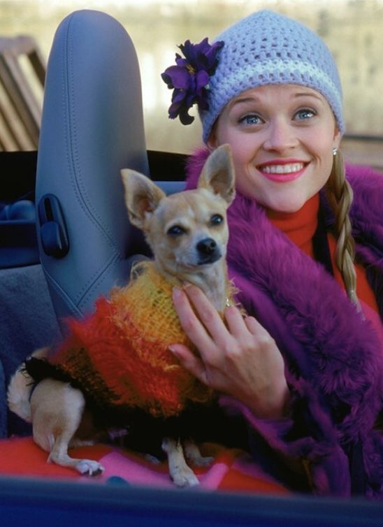Evo šta sve možemo da očekujemo od filma “Legally Blonde 3”