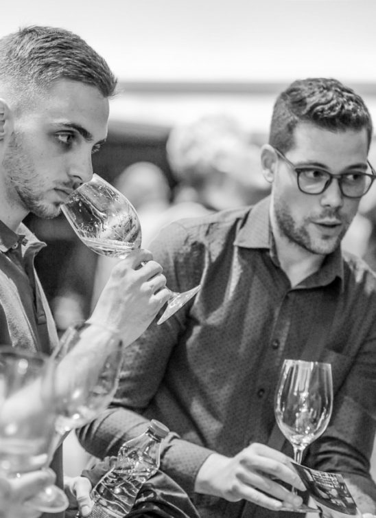 XII Wine Style salon vina