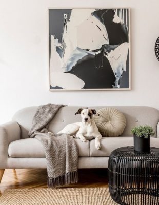 7 brzih feng shui saveta koji će poboljšati vaš život