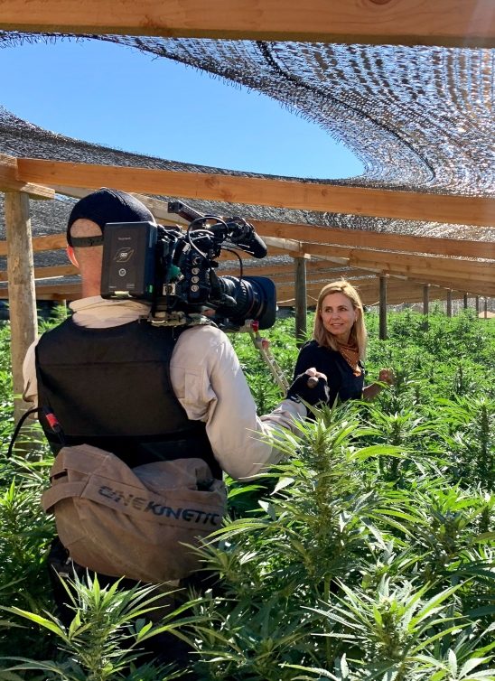 Marijana Van Zeler svojom dokumentarnom serijom “Ilegalna trgovina” ulazi u zataškane tragove kriminala