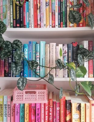 5 trikova da vam polica za knjige bude vredna biblioteke