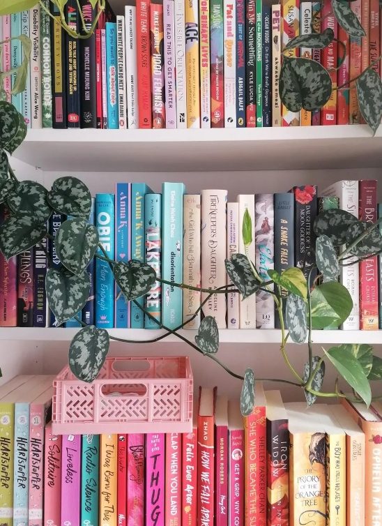 5 trikova da vam polica za knjige bude vredna biblioteke