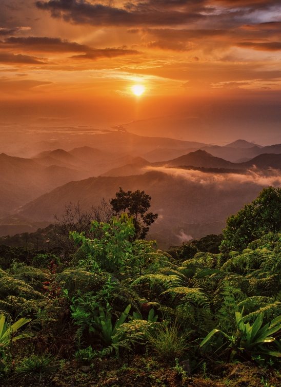 National Geographic foto konkurs – Istražite svet kroz objektiv