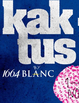 Globalna kreativna elita na festivalu KAKTUS by 1664 Blanc