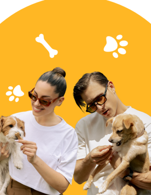 Preokreti, srećni lavež i mnogo Pedigree poslastica: Kako su Sarina Nora i Slavenova Ljubica savladale veliki challenge – i ko je pobedio?