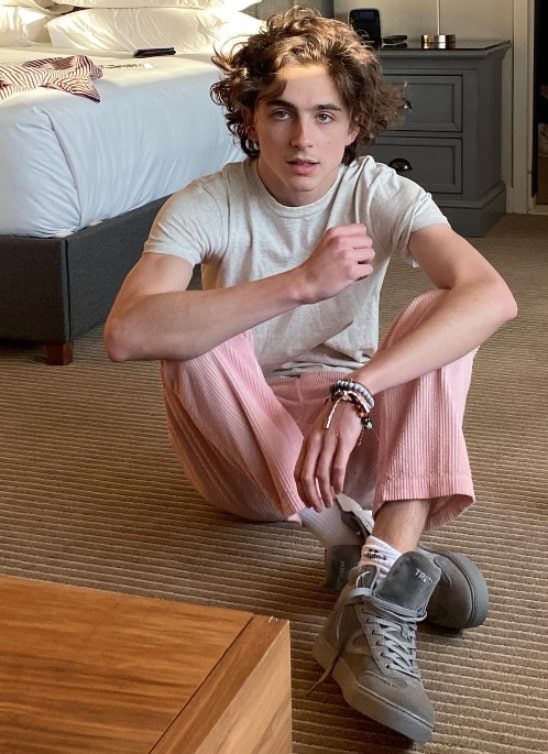 Timothée Chalamet kao Bob Dylan: Evo zašto mu je Austin Butler bio inspiracija