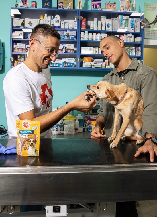 Savet veterinara: Sara i Slaven su otkrili kako Pedigree Dentastix štapići brinu o zubima njihovih ljubimaca – ovo svako treba da zna!
