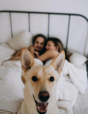 Razvijte svesnu vezu i bezuslovnu ljubav – na ove načine