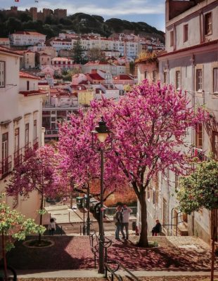 Spring Break putovanja: 10 evropskih destinacija koje su u proleće magične