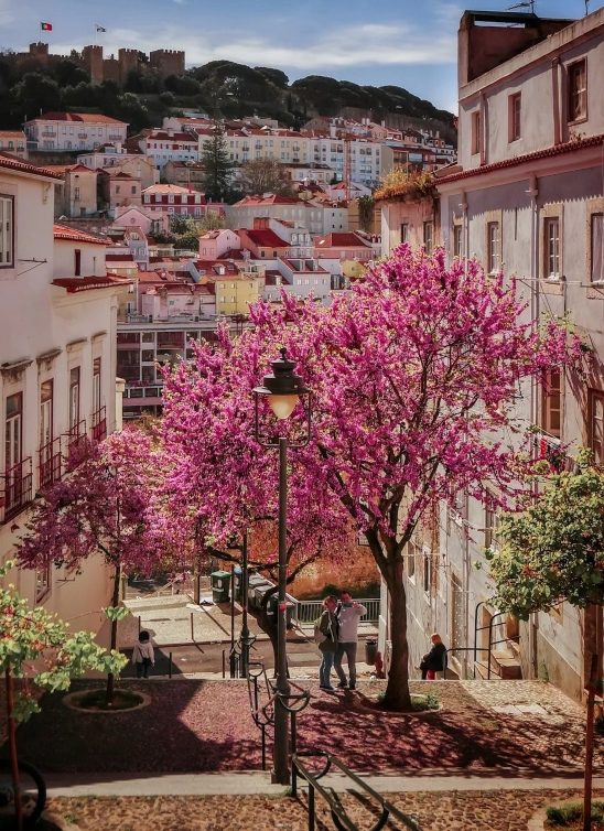 Spring Break putovanja: 10 evropskih destinacija koje su u proleće magične