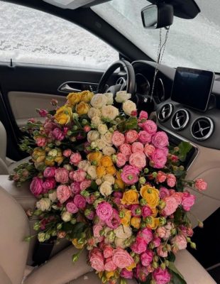 Evo šta sezona Riba donosi svakom horoskopskom znaku