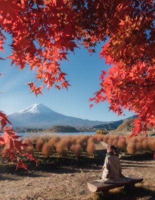 Travel goals: Evo zašto baš ove godine želimo da posetimo Japan
