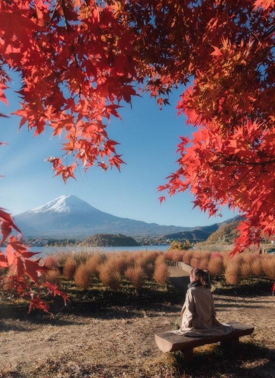 Travel goals: Evo zašto baš ove godine želimo da posetimo Japan