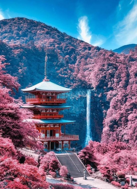 Jedva čekamo da posetimo Japan u proleće zbog tri zanimljiva događaja